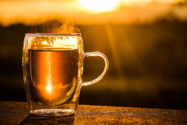 Heißer Ancient Defence Tee im Glas bei Sonnenaufgang – Symbol für innere Stärke & Harmonie. Mit Echinacea, Thymian & Kamille.