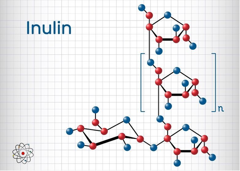 Inulin Superstar unter den Ballaststoffen