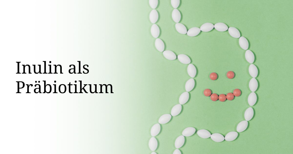 healthy-licious Blog Inulin als Prabiotikum